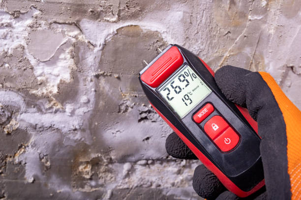 Best Mold Testing and Inspection Services in Ramsey, NJ